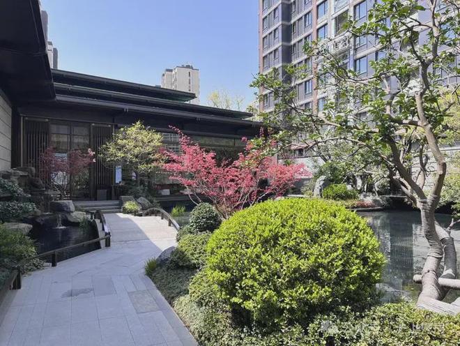 网站最新发布建发联发青云上内幕大揭秘不朽情缘网站建发联发青云上（2025(图18)