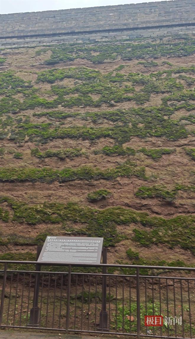 地长蘑菇大雁塔受潮城墙布满青苔气象局解释成因mg不朽情缘游戏平台西安连续一个多月降雨遍(图2)