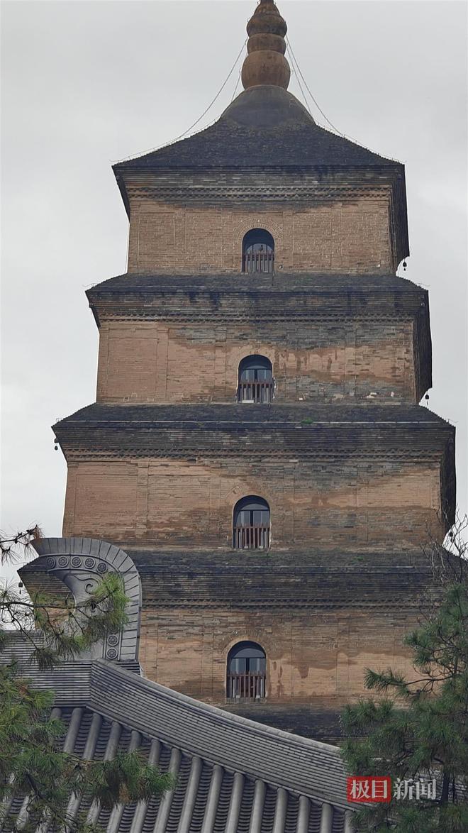 地长蘑菇大雁塔受潮城墙布满青苔气象局解释成因mg不朽情缘游戏平台西安连续一个多月降雨遍(图5)